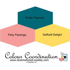 the four different colors in this image are yellow, pink, blue and green with words that read pretty peacock, fifty flamingo, daffodil delight