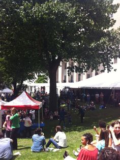 a crowd of people sitting on top of a lush green field next to a tree