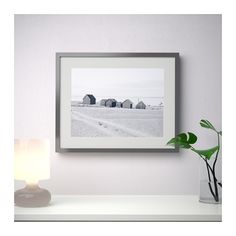 a black and white photo hanging on a wall next to a vase with a plant in it