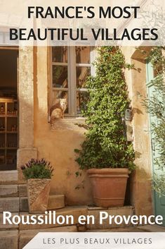 a cat sitting on the ledge of a window next to a potted plant in front of it