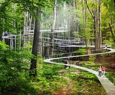 two people walking on a path in the woods with many suspended walkways above them