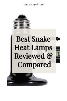 the words best snake heat lamps reviewed and compared