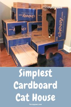 a black cat standing on top of cardboard boxes with the words, simplest cardboard cat house