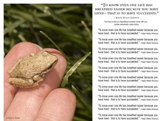 a small frog sitting on top of a person's hand in front of green grass