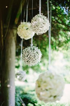 some white flowers hanging from the branches of a tree with words diyvento