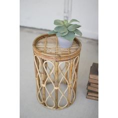 a small potted plant sitting on top of a wicker table