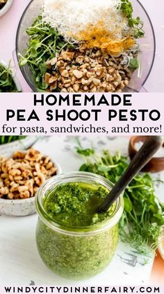 homemade pea shoot pesto for pasta, sandwiches, and more with text overlay