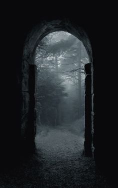 an arch in the middle of a dark forest with fog coming from it's sides