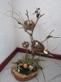 there is a small tree with birds on it and eggs in the nests next to it