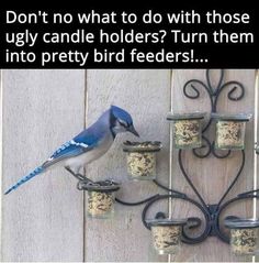 a blue bird perched on top of a metal candelabra filled with birds