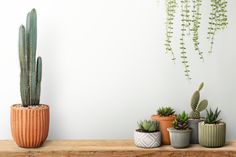 three potted plants sitting on top of a wooden shelf next to a white wall