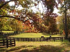 a fenced in pasture with sheep grazing on the grass and trees around it, surrounded by fall foliage