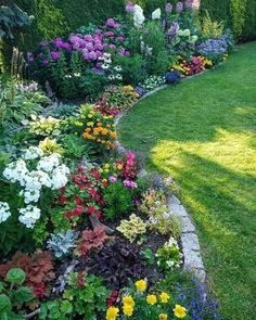 a garden filled with lots of colorful flowers