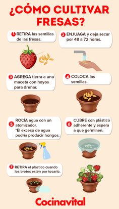 the spanish language poster shows different types of food and drinks in various stages of development