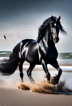 a black horse is running on the beach