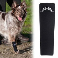 The Walkabout Compression Sleeve is the paw-some way to soothe your pup's achy joints, jump-start their daily activities, and give leg-endary stabilization and support This affordable neoprene sleeve not only keeps their paws toasty when it's chilly out, but also promotes circulation and easing ache-related inflammatio Cold Exposure, Achy Joints, Sports Recovery, Knee Compression Sleeve, Elbow Pain, Muscle Fatigue, Compression Sleeves, Mens Sleeve, Sports Medicine