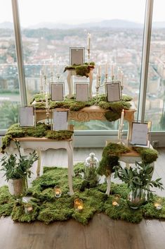 moss covered tables with candles and pictures on them