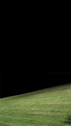 a man standing on top of a lush green field