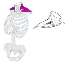 a drawing of a human skeleton and an image of a hand holding a piece of paper