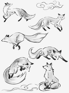 an image of some animals that are flying in the air with their tails spread out