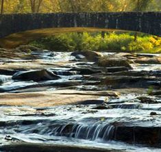 a river running through a forest filled with lots of green grass and yellow trees in the background