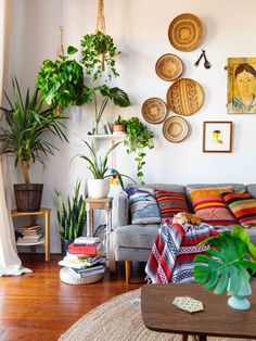 a living room filled with furniture and lots of plants