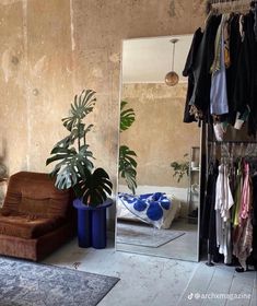 a room with a couch, mirror and clothes rack in the corner next to a plant