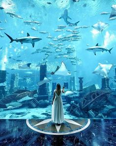 a woman standing in front of a large aquarium filled with sharks and other sea creatures