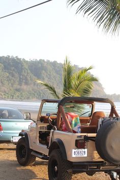 a jeep parked on the beach next to a palm tree