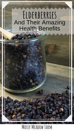 elderberries and their amazing health benefits