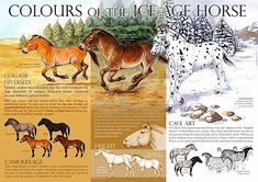 an image of horses that are in the color of the ice age horse painting book