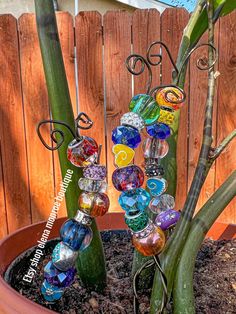 a potted plant that has some glass beads in it