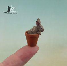 a tiny rabbit sitting in a flower pot