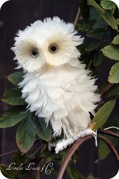 a white owl sitting on top of a tree branch