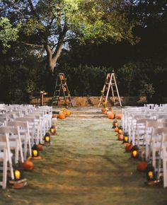 rows of white chairs with pumpkins on them in front of trees and ladders