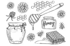 honey and honeycombs drawn by hand with bees, honey dipper and flowers