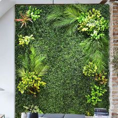 a living room with plants on the wall