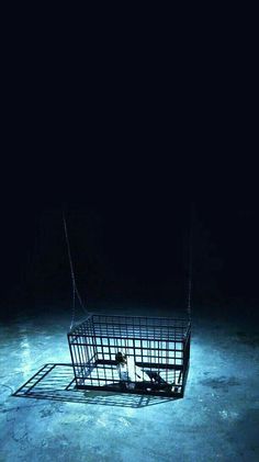 a cage that is on the ground in the dark