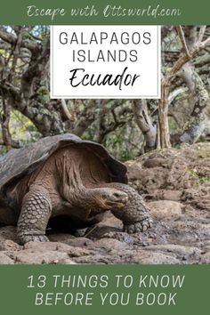 13 Things To Know Before You Book a Galapagos Islands Vacation South America Travel Itinerary, Island Destinations, Island Holiday, Travel Map, Remote Island, Travel Quotes Inspirational, Explore Travel