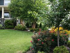 a house with landscaping in the front yard