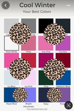 Leopard Print Combinations, Leopard Print Color Palette, Colors To Wear With Leopard Print, Winter Color Pallet Outfits, Leopard Print Color Combos, Leopard Print Outfits Color Combos, Zapatos Animal Print, Classic Outfits For Women, Mode Prints