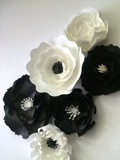 black and white paper flowers arranged in a row