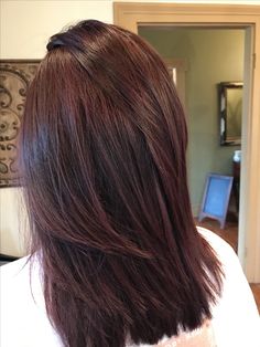 Mahogany Highlights On Dark Hair, Brown Hair With Red Tint, Chocolate Cherry Brown Hair, Pelo Color Vino, Hair Color Mahogany, Mahogany Hair, Trendy Shades, Red Hair Inspo, Cherry Hair