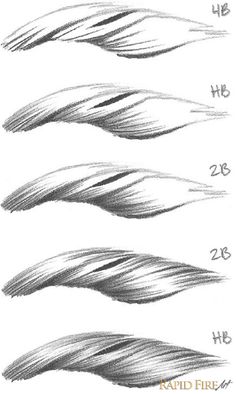 the different types of hair that are used in this drawing technique, and how to draw them