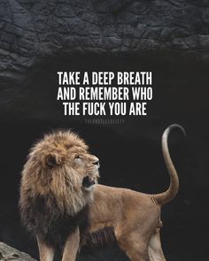 a lion standing in front of a cave with a quote on it that says, take a deep breath and remember who the fock you are