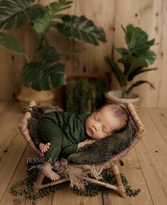 a newborn baby is sleeping in a wooden chair next to potted plants and greenery