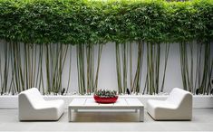 a living room with two white couches and a table in front of a bamboo wall