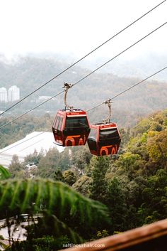 two red gondola cars suspended over trees in the air with mountains in the background