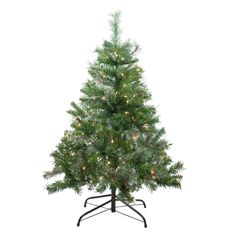 The Mixed Cashmere Pine features a mixture of light green tapered tips and long needle bottle brush tips, that are mixed with traditional PVC pine branches that give the tree a nice full look. The modest 4-foot tree comes with hinged branch construction, and is fitted with 100 clear mini bulbs, perfect for a quick and easy set-up. Product Features: Pre-lit with 100 clear lights Bulb size: mini 234 tips 1.25"-3" wide tips 34" lead cordMedium profile tree Flame retardant Additional Product Feature Christmas Tree Clear Lights, Pine Branches, Gift Drawing, Black Christmas Trees, Christmas Central, Pine Branch, Metal Tree, Christmas Tree With Gifts, Bottle Brush