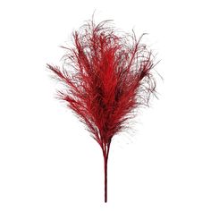 red grass on a white background